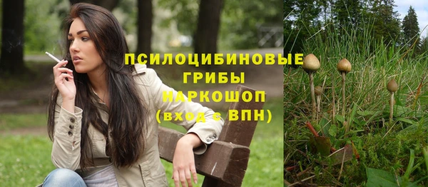 МДМА Богданович