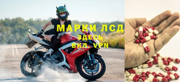 молекула духа Бугульма