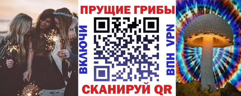 KRAKEN ссылки  Белоозёрский  Галлюциногенные грибы прущие грибы 